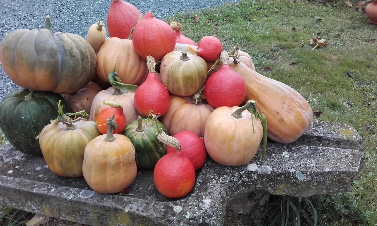 Le Grenier Des Gones 0*, Saint-Pierre-la-Palud